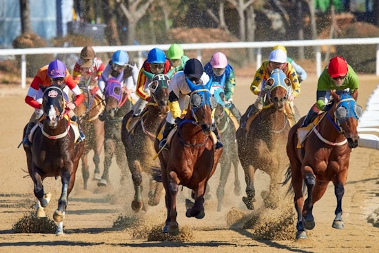 Flood Fears Boot Ruidoso Summer Races To Albuquerque For Memorial Day Opener