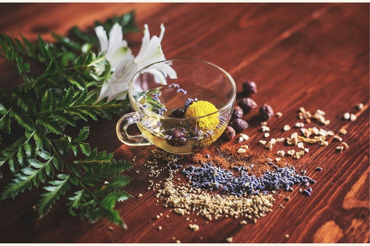 Florida Dusts Off Naturopath Licenses After 60-Year Freeze