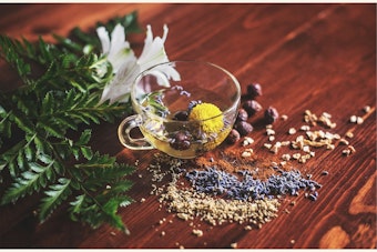 Florida Dusts Off Naturopath Licenses After 60-Year Freeze