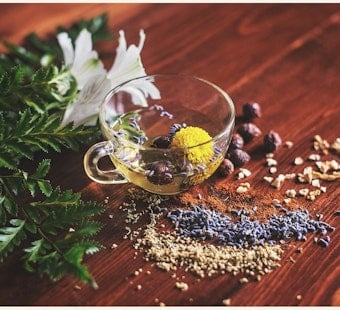 Florida Dusts Off Naturopath Licenses After 60-Year Freeze