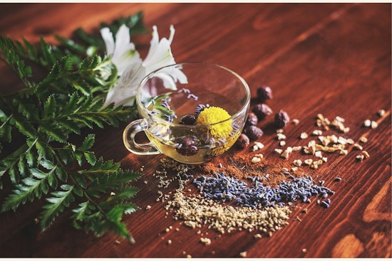Florida Dusts Off Naturopath Licenses After 60-Year Freeze