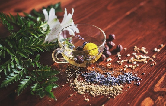 Florida Dusts Off Naturopath Licenses After 60-Year Freeze