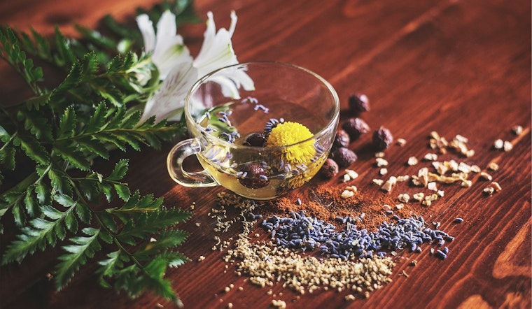 Florida Dusts Off Naturopath Licenses After 60-Year Freeze