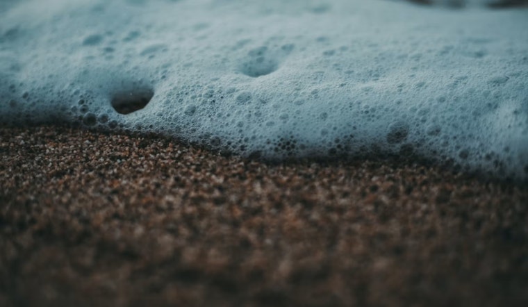 Foam Freakout on Michigan Shores Prompts State Health Alert