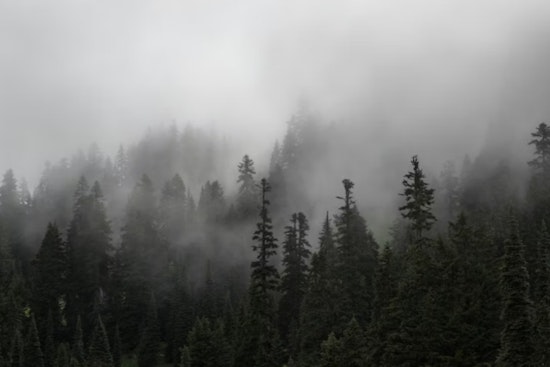 Fog, Thunder Booms and Sauna Heat Swamp Jacksonville This Week
