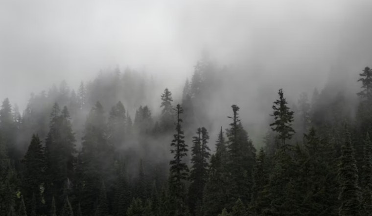 Fog, Thunder Booms and Sauna Heat Swamp Jacksonville This Week