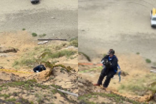 Fort Funston Cliff Scare As Crews Recover Dog From Bluffs