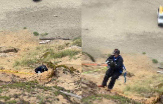 Fort Funston Cliff Scare As Crews Recover Dog From Bluffs
