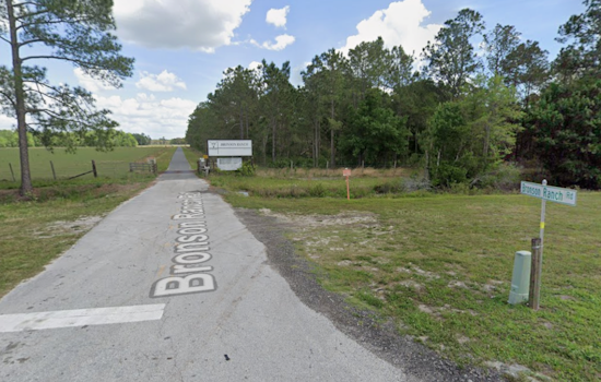 Four Corners Brush Blaze Torches 15 Acres In Lake County