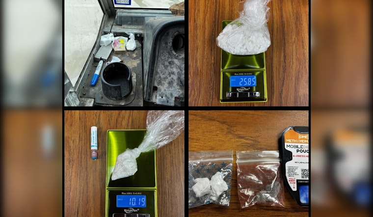 Fredericksburg FedEx Route Busted As Rolling Drug Stop, Deputies Say