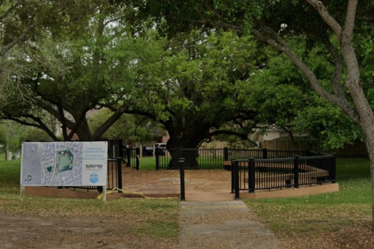 Freedom Tree Showdown as Missouri City Tries to Build a Downtown Without Losing Its Soul