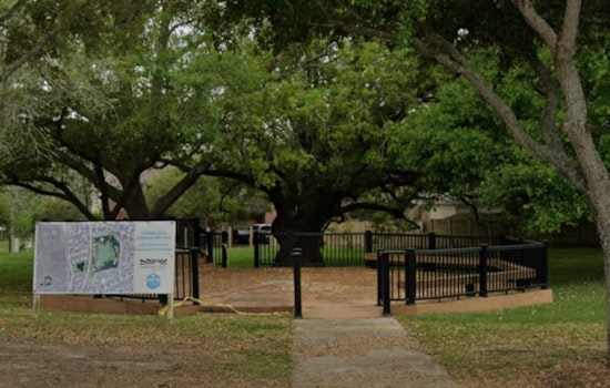 Freedom Tree Showdown as Missouri City Tries to Build a Downtown Without Losing Its Soul
