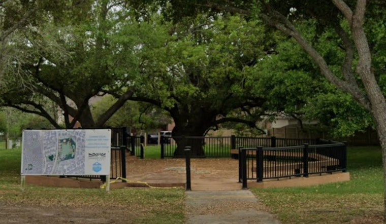 Freedom Tree Showdown as Missouri City Tries to Build a Downtown Without Losing Its Soul