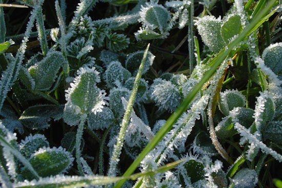 Frosty Jolt For Milwaukee As Spring Warmup Crawls In