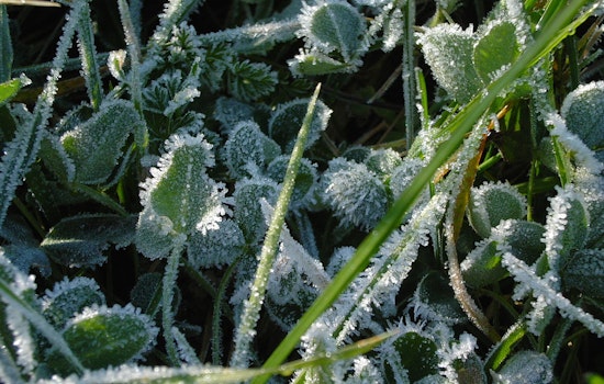 Frosty Jolt For Milwaukee As Spring Warmup Crawls In