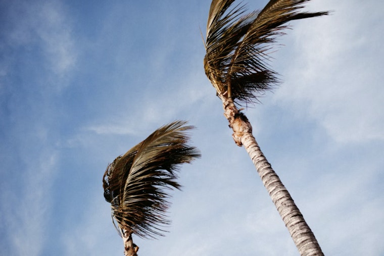 Gale Whips Houston Coast, Turns Morning Commute Into a Wind Tunnel