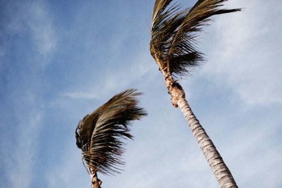 Gale Whips Houston Coast, Turns Morning Commute Into a Wind Tunnel
