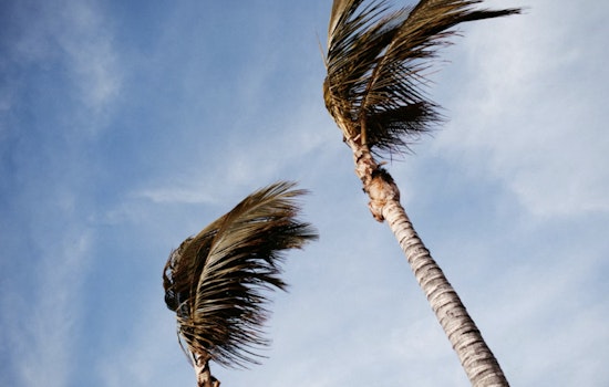 Gale Whips Houston Coast, Turns Morning Commute Into a Wind Tunnel