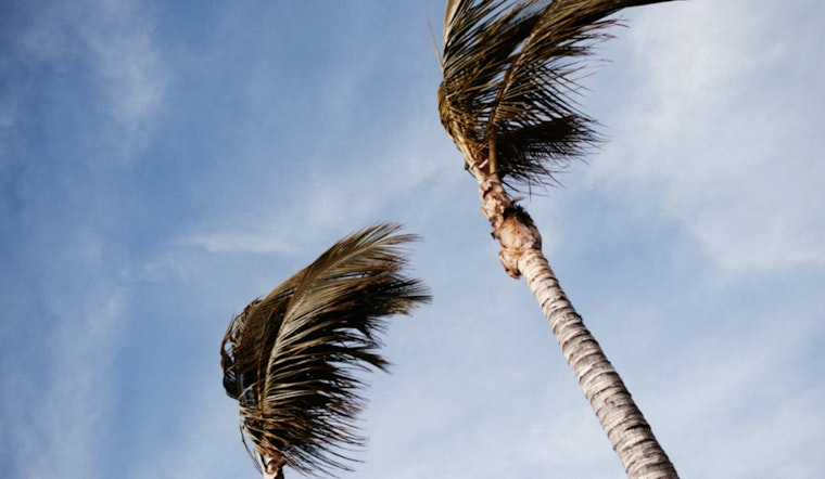 Gale Whips Houston Coast, Turns Morning Commute Into a Wind Tunnel