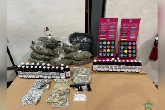Gang-Tied Apollo Beach Felon Nailed in Major Coke and Opioid Bust