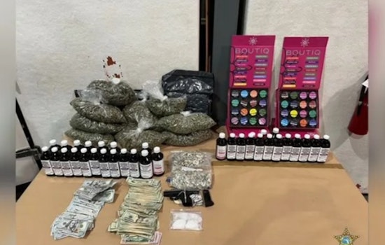Gang-Tied Apollo Beach Felon Nailed in Major Coke and Opioid Bust