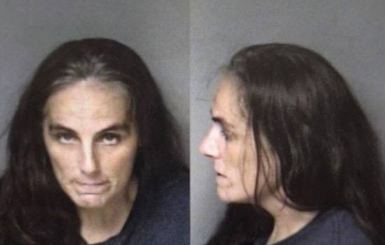 Gaston County Drug Bust Fast Team Nabs Woman on Multiple Trafficking Counts