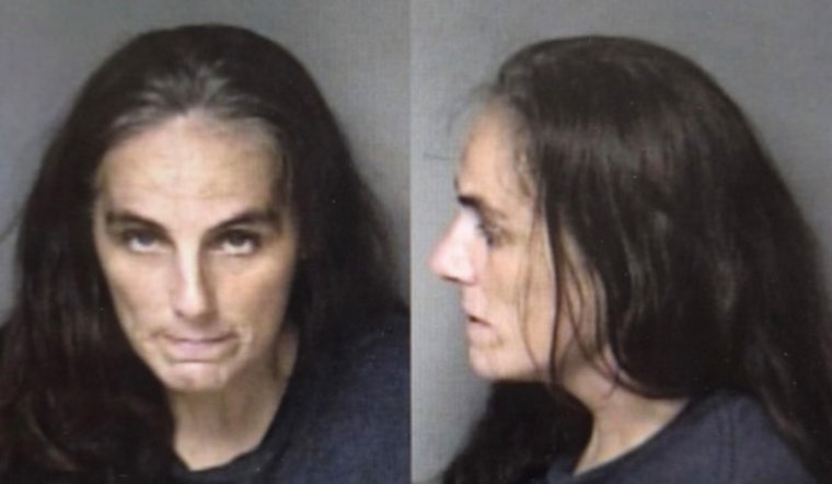 Gaston County Drug Bust Fast Team Nabs Woman on Multiple Trafficking Counts