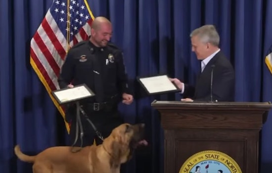 Gastonia K-9 Cop Snags Long Leaf Pine Honor As Bo Lands ‘Pup‑preciation’ Nod