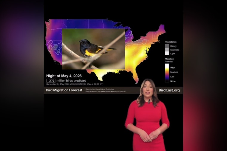 Gateway Arch Goes Dark as Bird Migration Bombards Night Sky