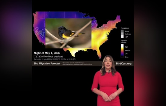 Gateway Arch Goes Dark as Bird Migration Bombards Night Sky