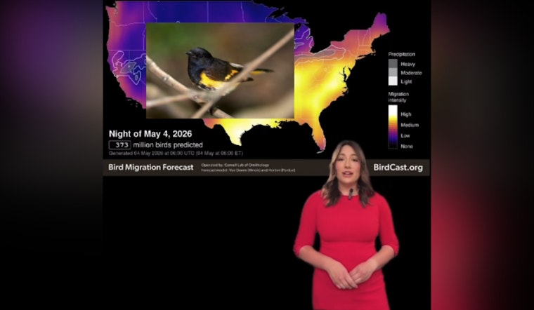 Gateway Arch Goes Dark as Bird Migration Bombards Night Sky