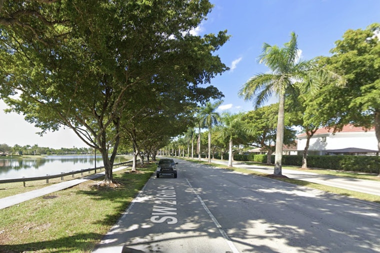 Giant Python Ripped From Cutler Bay Sidewalk, 20 Eggs Smashed