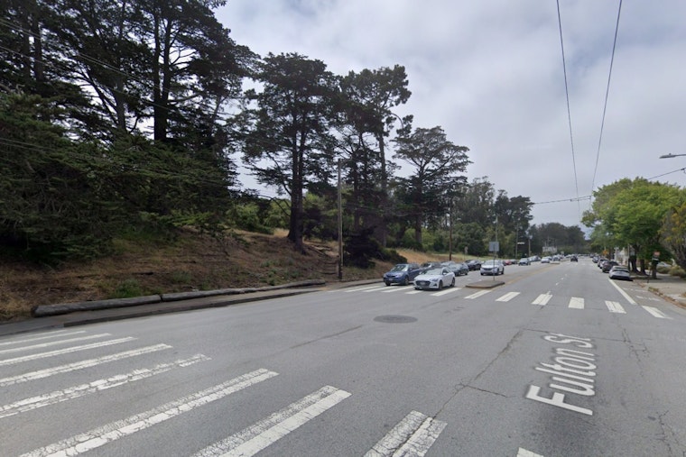 Golden Gate Park Tree Burns From Within As S.F. Crews Battle For 9 Hours