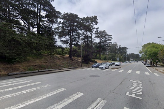 Golden Gate Park Tree Burns From Within As S.F. Crews Battle For 9 Hours