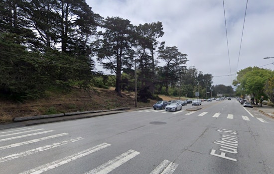 Golden Gate Park Tree Burns From Within As S.F. Crews Battle For 9 Hours