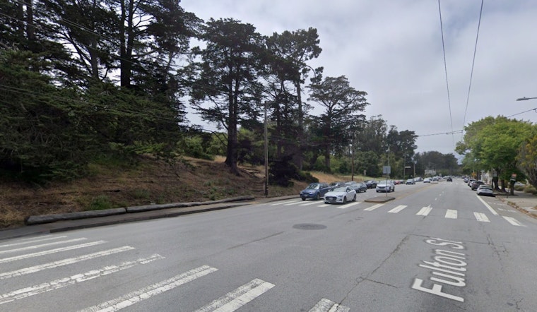 Golden Gate Park Tree Burns From Within As S.F. Crews Battle For 9 Hours