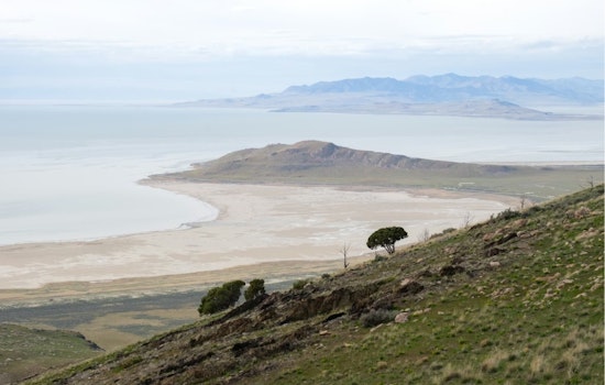 Great Salt Lake Lithium Gamble Roars Back As Compass Bets Big With EnergyX