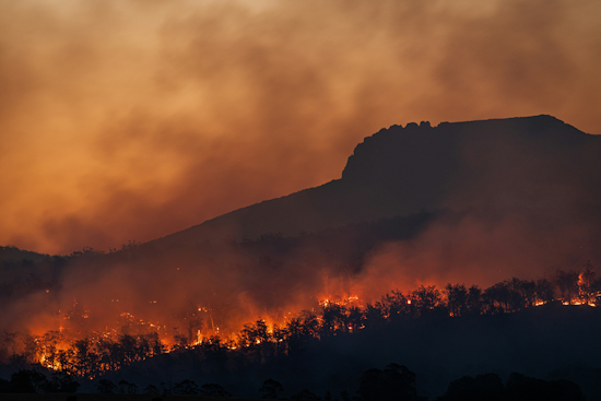 Groveland Wildfire Erupts By Smith Road As Crews Race To Shield Structures