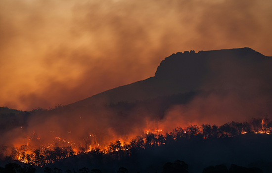 Groveland Wildfire Erupts By Smith Road As Crews Race To Shield Structures