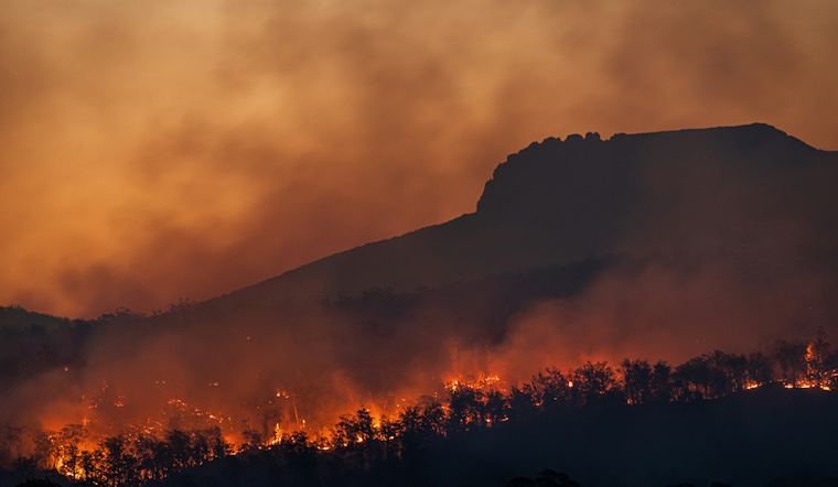 Groveland Wildfire Erupts By Smith Road As Crews Race To Shield Structures