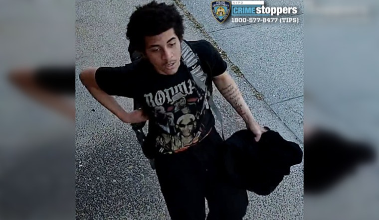 Gun Hill Road Ambush: Bronx Teen, 16, Shot As Gunman Vanishes
