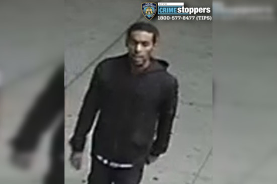 Gun-Toting Carjacker Strikes at Carter Avenue Corner in Late-Night Bronx Heist