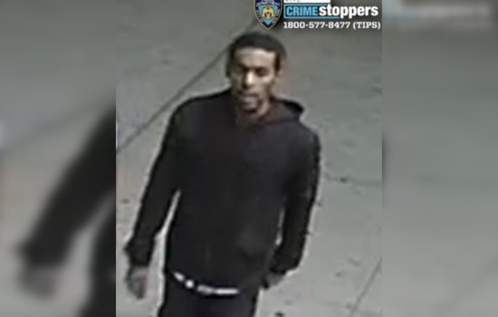 Gun-Toting Carjacker Strikes at Carter Avenue Corner in Late-Night Bronx Heist