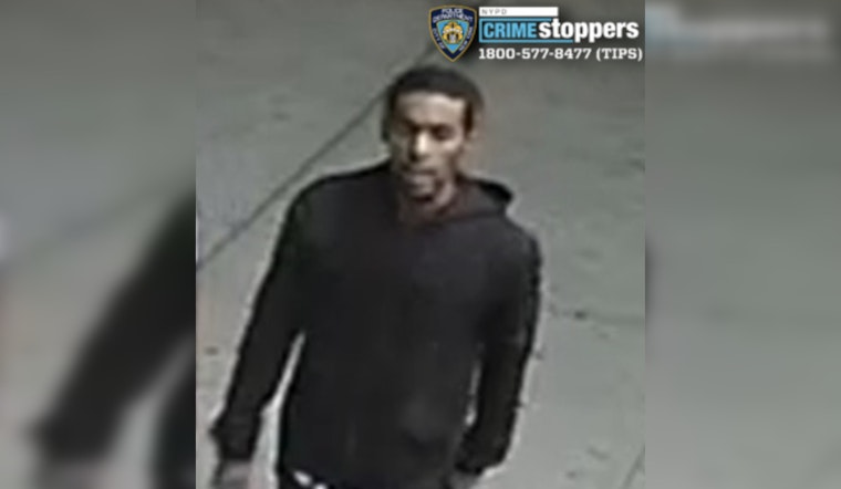 Gun-Toting Carjacker Strikes at Carter Avenue Corner in Late-Night Bronx Heist