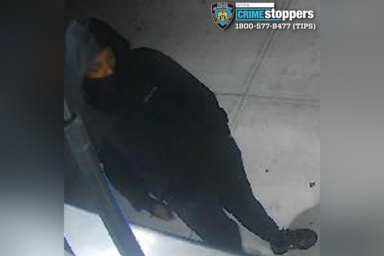 Gun-Toting Crew Rips $27K in Bling From Bronx Driver Near E. 174th, Cops Say