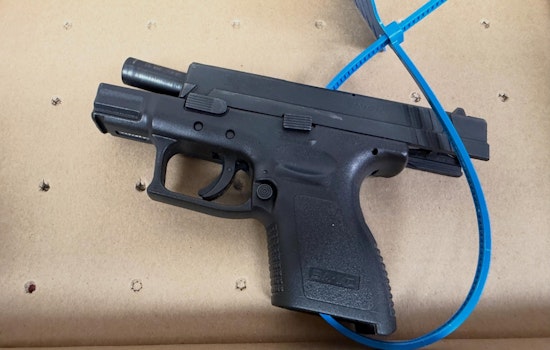 Gun-Waving Driver Nabbed On US-101 Near Petaluma, CHP Says