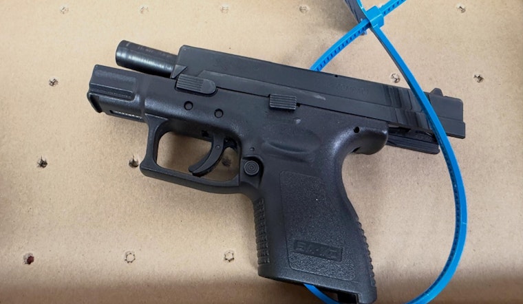 Gun-Waving Driver Nabbed On US-101 Near Petaluma, CHP Says