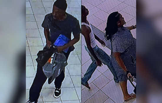 Gun-Waving Spat Shuts Down Ocala’s Paddock Mall, Cops Hunt 3