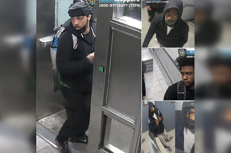 Gunfire Erupts On Prospect Ave As Bronx Cops Hunt Suspects