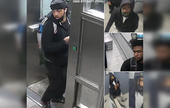 Gunfire Erupts On Prospect Ave As Bronx Cops Hunt Suspects